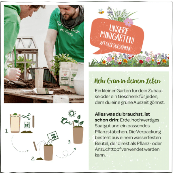 Minigarten Bio-Salat